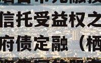 山东烟台市元融投资财产权信托受益权之收益权政府债定融（栖霞元融投资集团的股东）