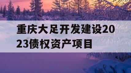 重庆大足开发建设2023债权资产项目 重庆大足开发建设2023债权资产项目