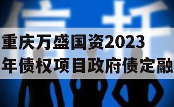 重庆万盛国资2023年债权项目政府债定融