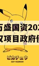 重庆万盛国资2023年债权项目政府债定融