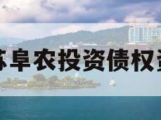 江苏阜农投资债权资产 江苏阜农投资债权资产