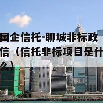 国企信托-聊城非标政信（信托非标项目是什么）
