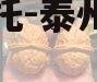 央企信托-泰州地级市信托
