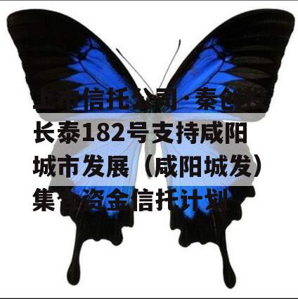 上市信托公司·秦创投长泰182号支持咸阳城市发展（咸阳城发）集合资金信托计划