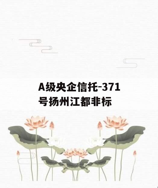 A级央企信托-371号扬州江都非标