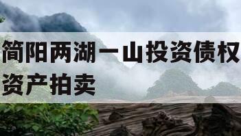 简阳两湖一山投资债权资产拍卖