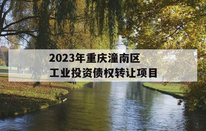 2023年重庆潼南区工业投资债权转让项目