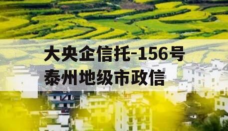 大央企信托-156号泰州地级市政信 大央企信托-156号泰州地级市政信