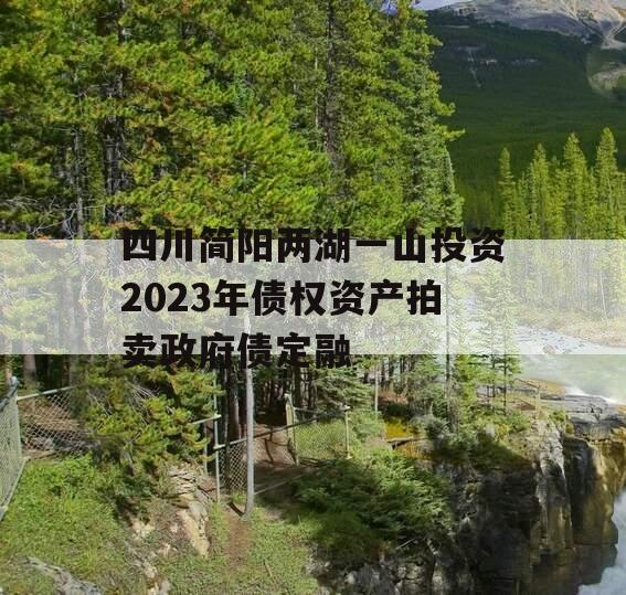 四川简阳两湖一山投资2023年债权资产拍卖政府债定融