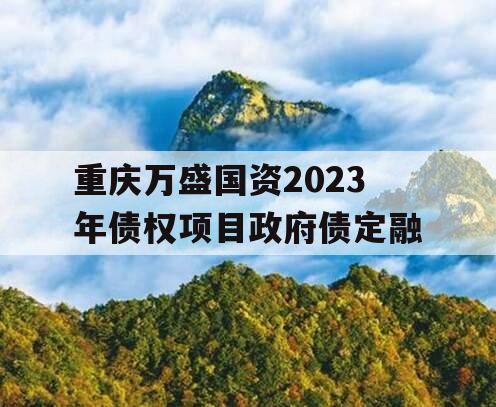 重庆万盛国资2023年债权项目政府债定融