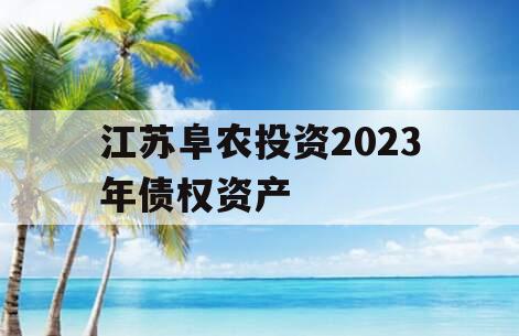 江苏阜农投资2023年债权资产 江苏阜农投资2023年债权资产