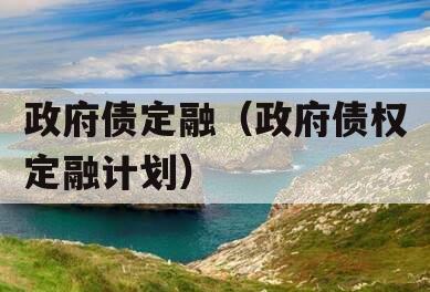 政府债定融（政府债权定融计划）