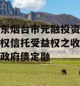 山东烟台市元融投资财产权信托受益权之收益权政府债定融
