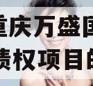 包含重庆万盛国资2023年债权项目的词条