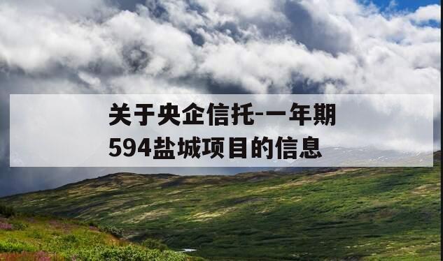 关于央企信托-一年期594盐城项目的信息