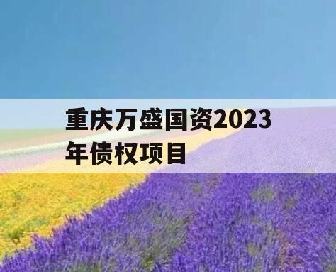 重庆万盛国资2023年债权项目