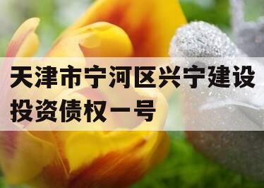 天津市宁河区兴宁建设投资债权一号