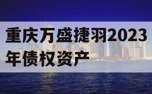 重庆万盛捷羽2023年债权资产