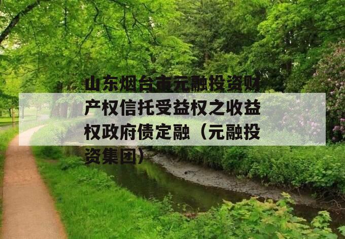 山东烟台市元融投资财产权信托受益权之收益权政府债定融（元融投资集团）
