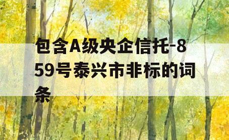 包含A级央企信托-859号泰兴市非标的词条