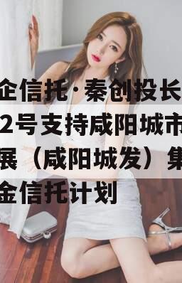 国企信托·秦创投长泰182号支持咸阳城市发展（咸阳城发）集合资金信托计划