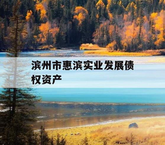 滨州市惠滨实业发展债权资产