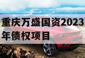 重庆万盛国资2023年债权项目
