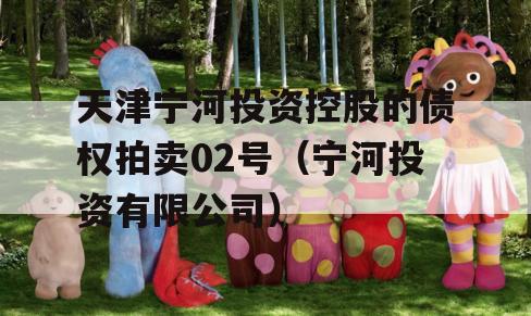 天津宁河投资控股的债权拍卖02号（宁河投资有限公司）