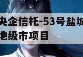 央企信托-53号盐城地级市项目