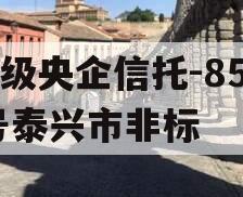 A级央企信托-859号泰兴市非标