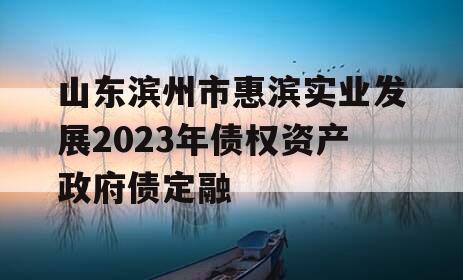 山东滨州市惠滨实业发展2023年债权资产政府债定融