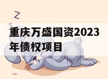 重庆万盛国资2023年债权项目