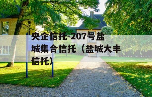 央企信托-207号盐城集合信托（盐城大丰信托）