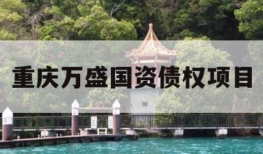 重庆万盛国资债权项目 重庆万盛国资债权项目