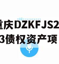 重庆DZKFJS2023债权资产项目