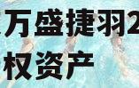 重庆万盛捷羽2023年债权资产 重庆万盛捷羽2023年债权资产