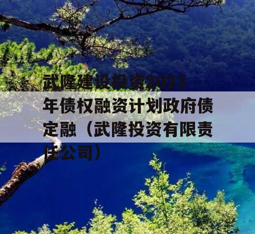 武隆建设投资2023年债权融资计划政府债定融（武隆投资有限责任公司）