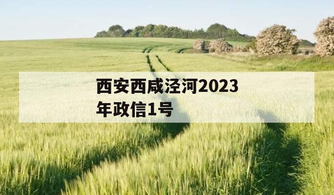 西安西咸泾河2023年政信1号