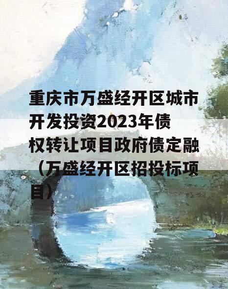 重庆市万盛经开区城市开发投资2023年债权转让项目政府债定融（万盛经开区招投标项目）