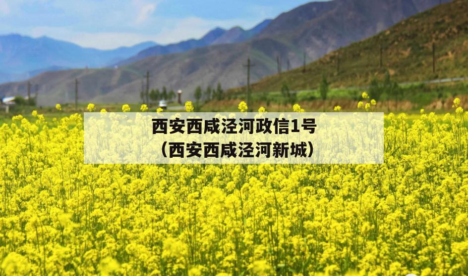 西安西咸泾河政信1号（西安西咸泾河新城）