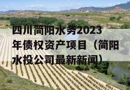 四川简阳水务2023年债权资产项目（简阳水投公司最新新闻）