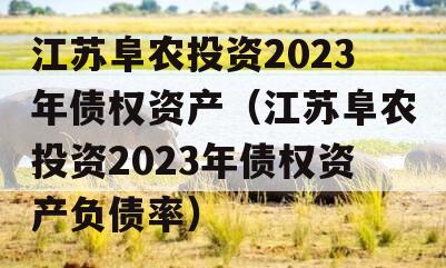 江苏阜农投资2023年债权资产（江苏阜农投资2023年债权资产负债率）