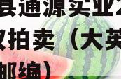 大英县通源实业2023债权拍卖（大英县通仙乡邮编）