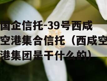 国企信托-39号西咸空港集合信托（西咸空港集团是干什么的）
