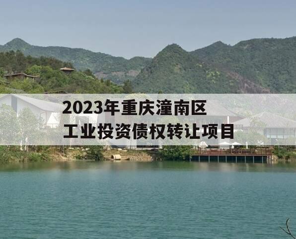 2023年重庆潼南区工业投资债权转让项目 2023年重庆潼南区工业投资债权转让项目