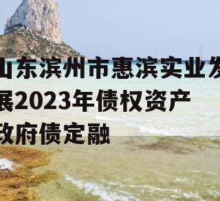 山东滨州市惠滨实业发展2023年债权资产政府债定融