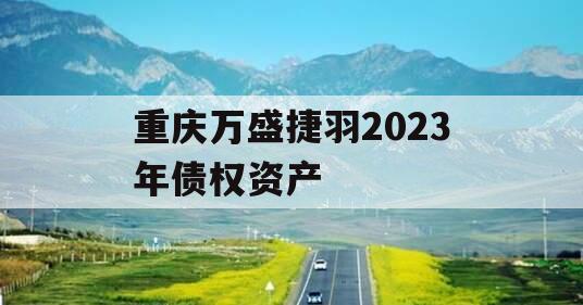 重庆万盛捷羽2023年债权资产