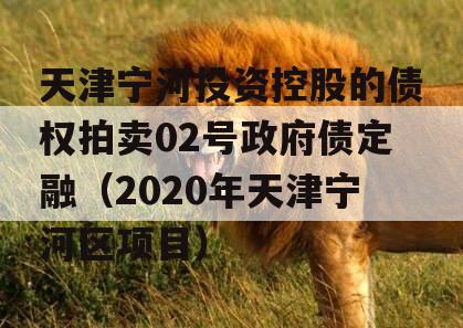 天津宁河投资控股的债权拍卖02号政府债定融（2020年天津宁河区项目）