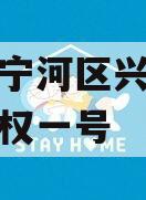 天津市宁河区兴宁建设投资债权一号