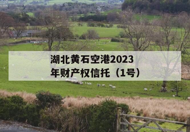 湖北黄石空港2023年财产权信托（1号）